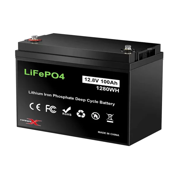 EV LiFePO4 Battery 12V 100Ah
