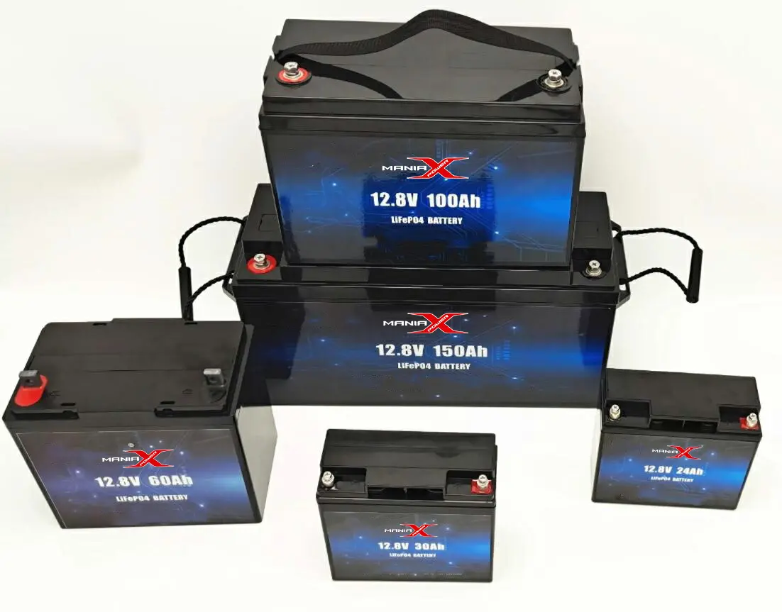 lithium ion battery suppliers