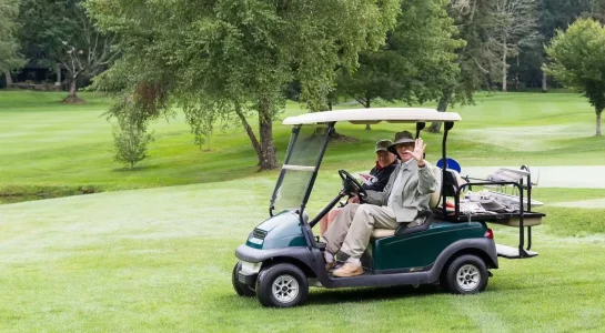 Golf-Cart/RV/E-Folklifts /EVs
